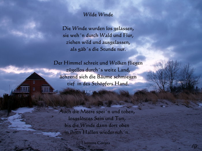 Wilde Winde